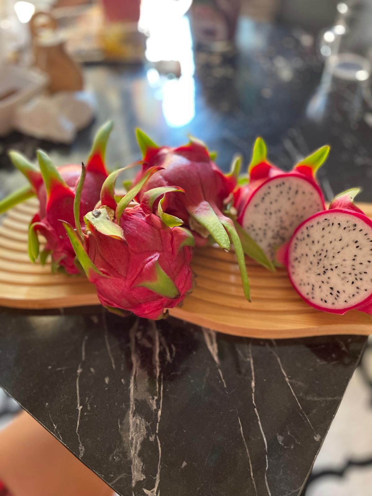 Zahidenin Tropikal Bahçesi 